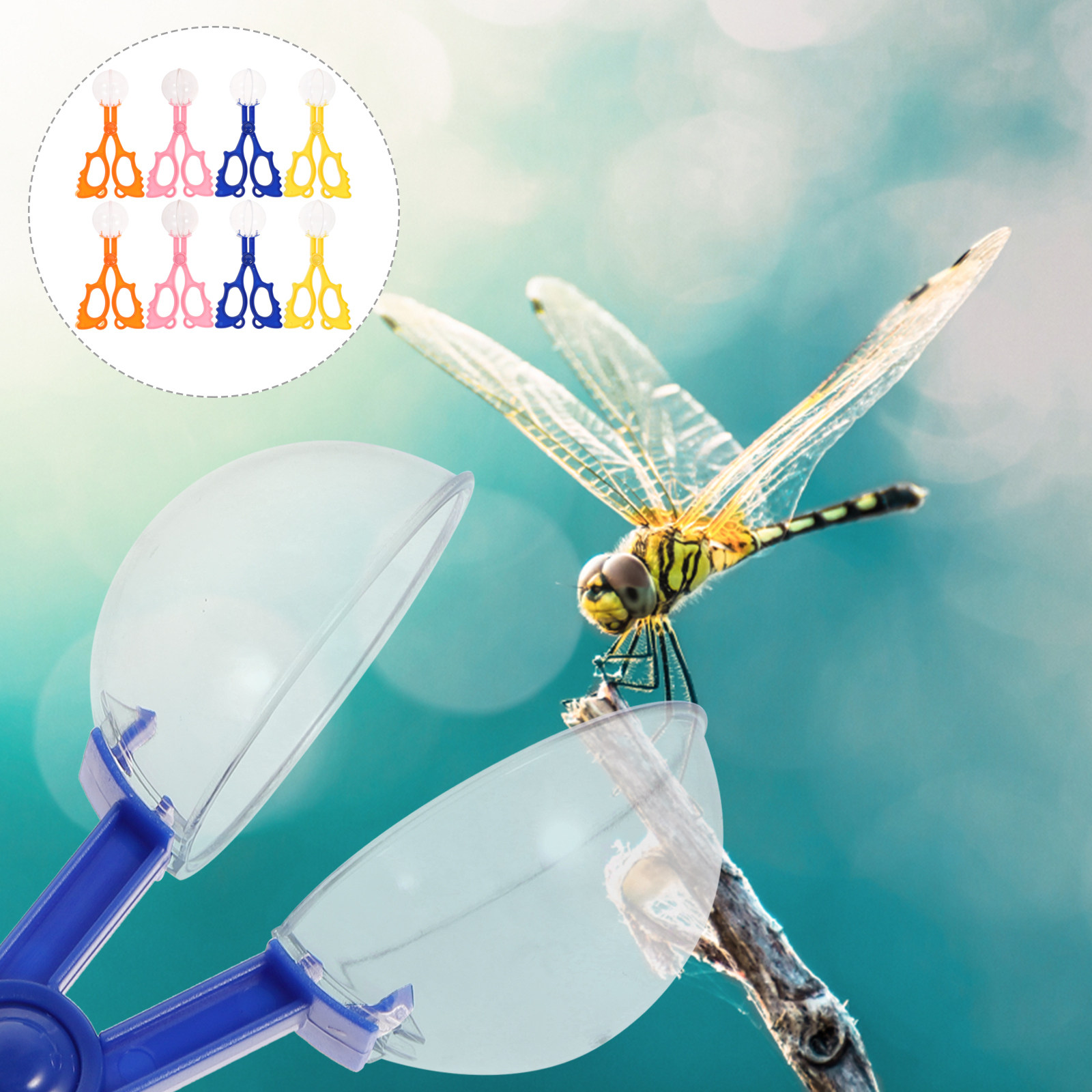 8Pcs Insect Catcher Scissors K - Kids Education Tools ulasan dan harga