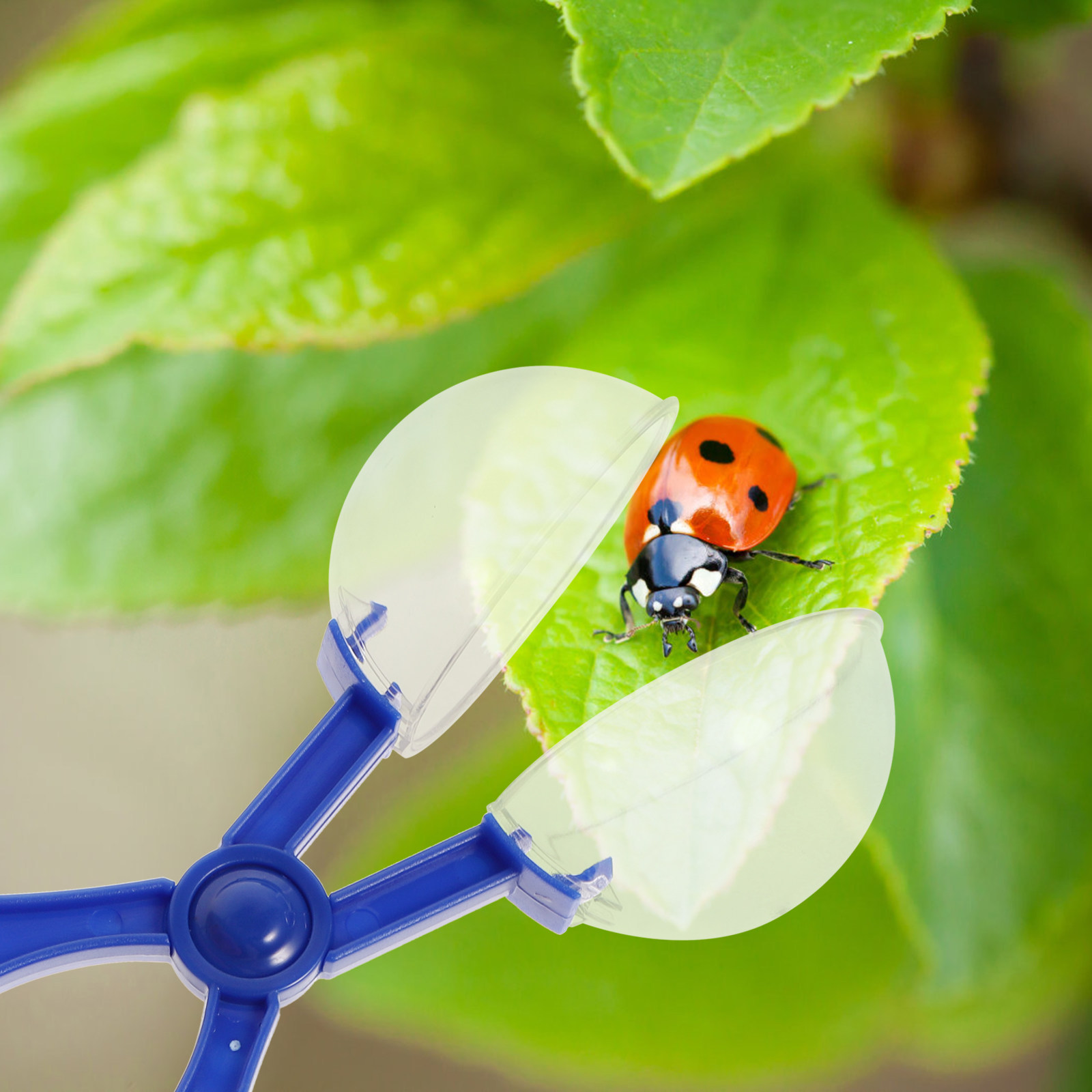 8Pcs Insect Catcher Scissors K - Kids Education Tools ulasan dan harga