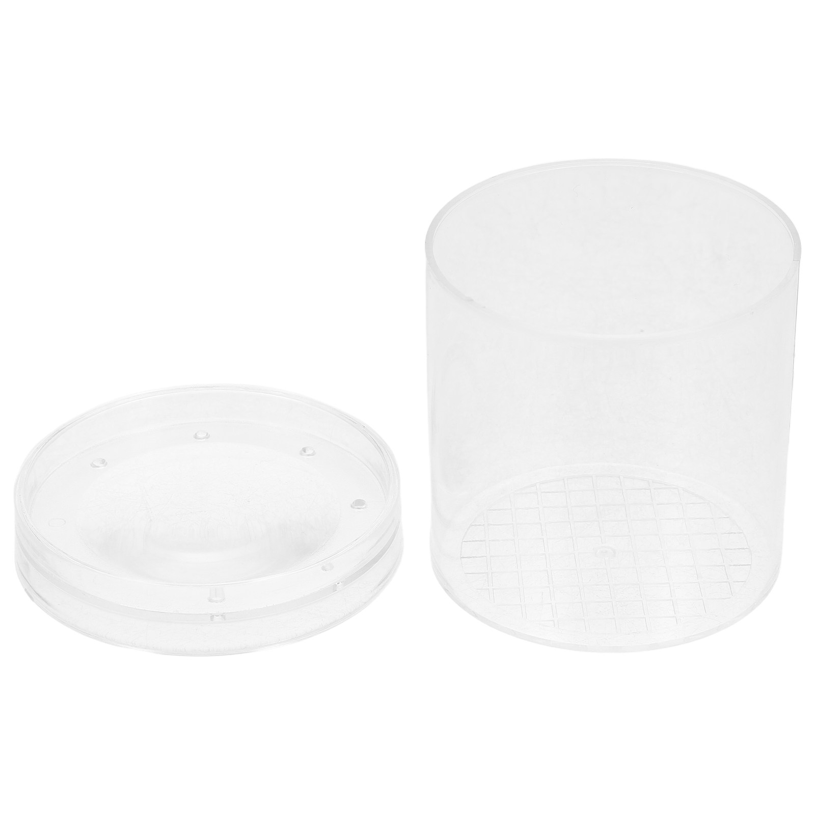 3X Magnifying Insect Observati - Kids Education Tools ulasan dan harga