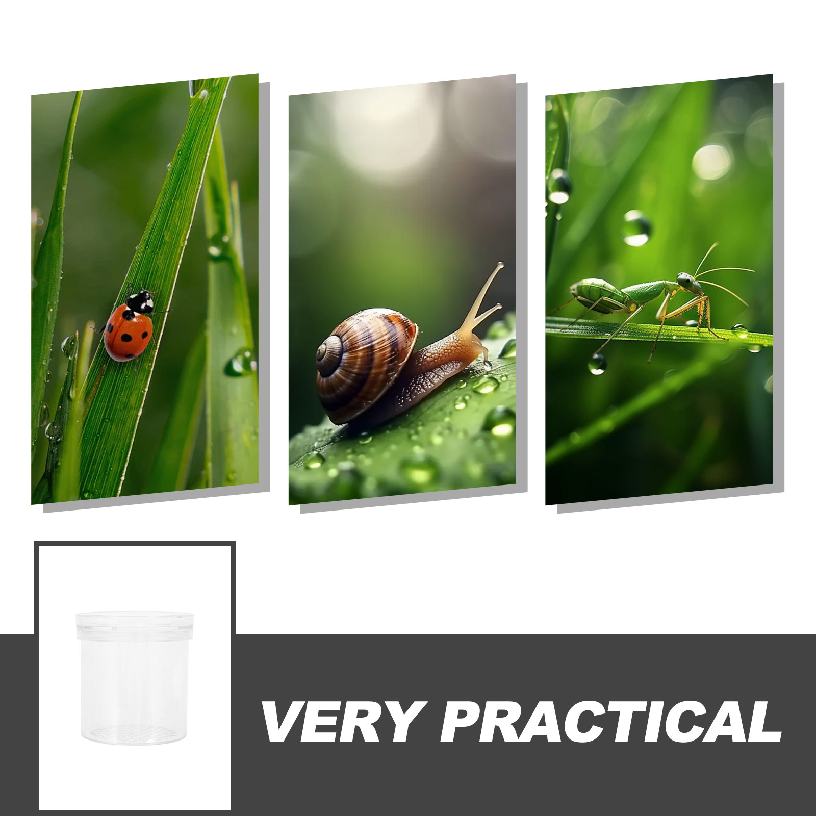 3X Magnifying Insect Observati - Kids Education Tools ulasan dan harga