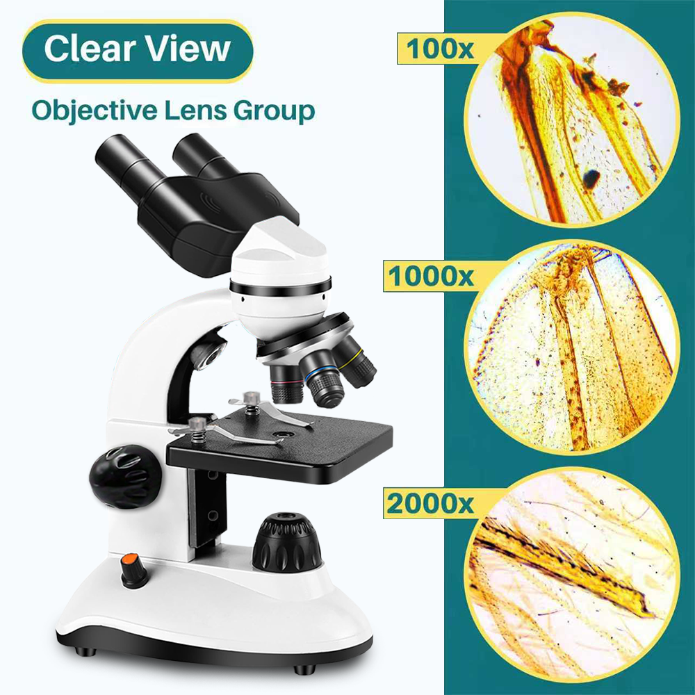 Binocular Microscope, High Def - Kids Definition Of Education ulasan dan harga